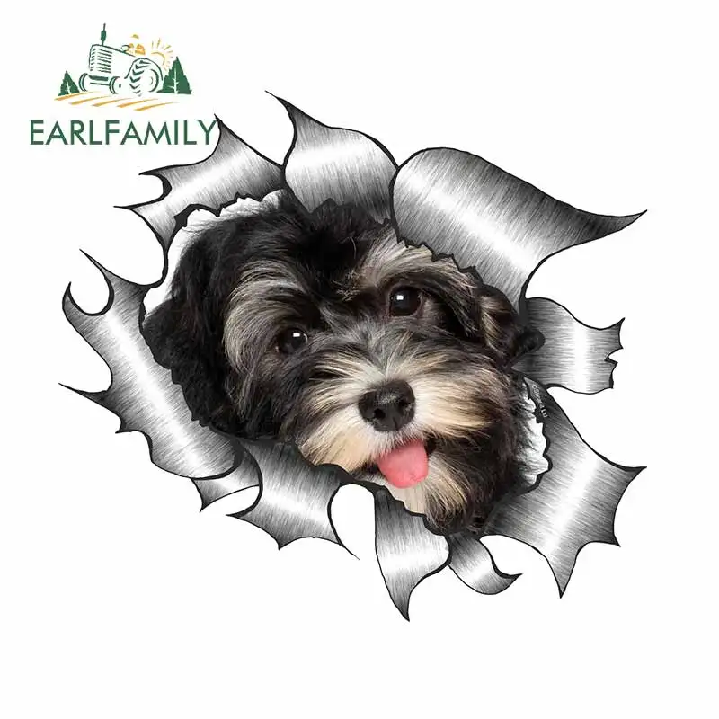 EARLFAMILY 13 см x 11,8 см Рваный Металлический Дизайн с Красивым гаванским Рисунком Домашней Собаки Щенка Внешняя Виниловая Наклейка На Автомобиль